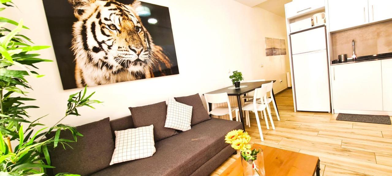 Oshun Plaza Castilla Appartement *